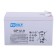 Rucelf GP 12-9 battery battery