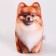 Antistress toy "Fluffy Spitz"