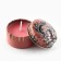 New Year. New Year's candle in the Iron Bank "Snake" Aroma Vanil, 4.8 cm