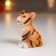 Souvenir Polystone "Amur Tigerenok" MIX 6x4.5x4.8 cm