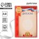 Diploma A4 Sports with a flag and eagle, 57 gr/sq.m