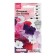 Flowers of Petunia "Super Cascade mixture", 10 pcs