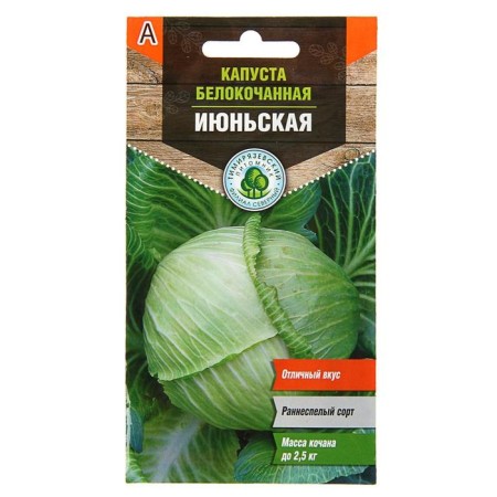 White cabbage “June” Early, 0.5 g-2