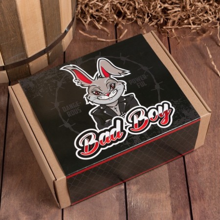 Set of gift Ethel Bad Boy, towel 50x90 cm and accessories-2