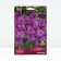 Gladiolus Large-flowered "Showbler", 10/12, 10 pcs, spring 2024