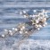 Decor "Winter Magic" Branch with berries and stars, 63 cm