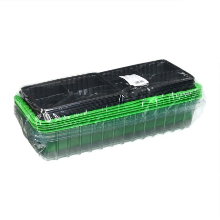 Mini-Pirate for seedlings, 40 × 16 × 13 cm, 2 inserts, 8 cells, green, Greengo-3