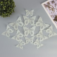 Magnet Plastic 