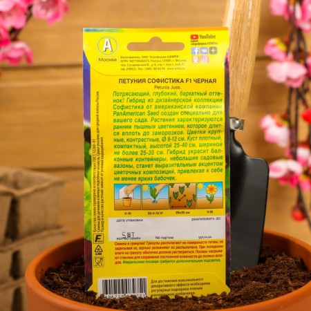 Petunia seeds sophisti black F1 large -flowered, 5 pcs-3