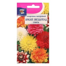 Georgin's flowers mixture 