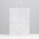 Craft package without printing, white, round handle 26 x 15 x 35 cm, set 3 pcs