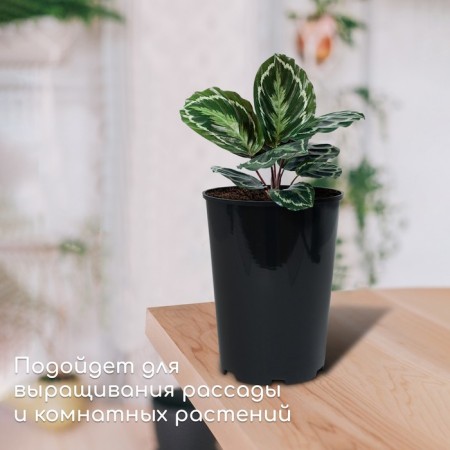 Pot for seedlings, 2 l, d = 14 cm, h = 18 cm, black, greengo-2