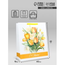 Package Gift Laminated Vertical Tulips, XL 40 × 49 × 19 cm
