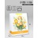 Package Gift Laminated Vertical Tulips, XL 40 × 49 × 19 cm