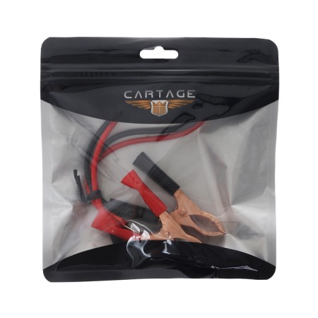 Clean wire with a clip, 30 cm, r4-3