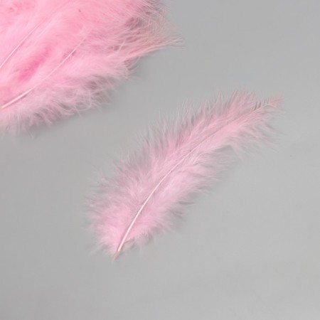 Pen decorative goose down "Direct pink" set 40 pcs h = 10-15 cm-1