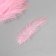 Pen decorative goose down "Direct pink" set 40 pcs h = 10-15 cm
