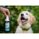 Bioospray from parasites "Pizhon Premium" for cats and dogs, 150 ml