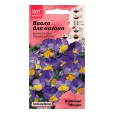 Viola flowers 