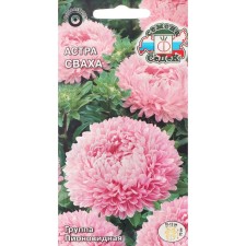 Flowers of Astra 