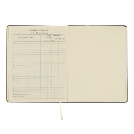 Universal diary for grades 1-11, hard cover, artificial leather, elastic band, lies, tinted block, 48 sheets-3