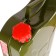 Steel canister Autoprofi, vertical, anti -corrosion coating, thickness 0.7 mm, 10 liters