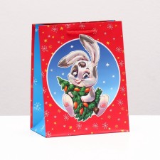 Gift package 