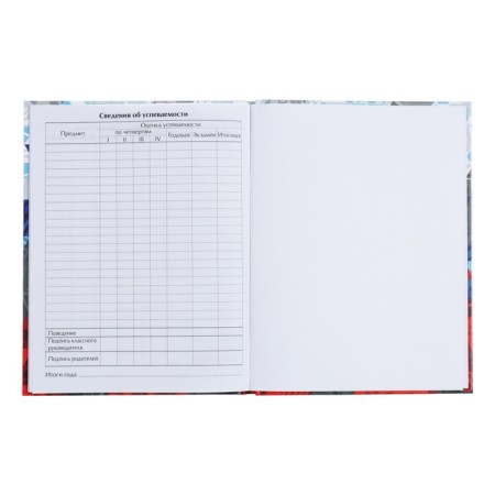 Universal diary for grades 1-11, "Russia Geometry", solid cover 7BC, glossy lamination, 40 sheets-8