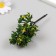 Artificial plant for creativity plastic "Cassia" 12 cm