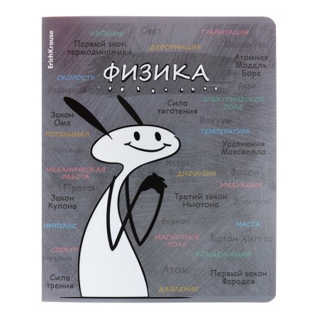 A set of subject notebooks 48 sheets, 12 pieces, Erichkrause "Chubrik", plastic cover silk-screen covers, Blok Offset 100%, information block-10
