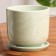 Flower Orion Green Pot