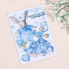 Folder for the birth certificate 
