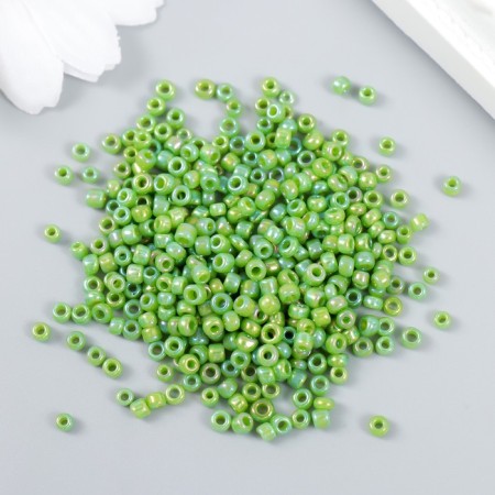 Beads "Zlatka" 08/0, 3 mm, 10 g 0404 Salad-1
