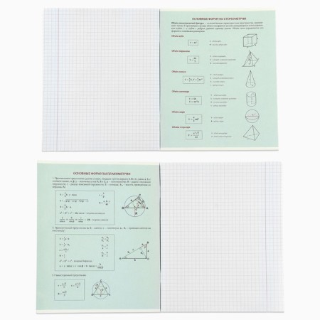 Subject notebook A5, 48 liters on the paper clip "September 1: anime. Geometry" VD LAK-2