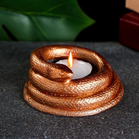 Climb "snake" bronze, 6x4cm