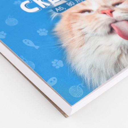 Sketchbook A5, 80 sheets solid cover "Cat".-4