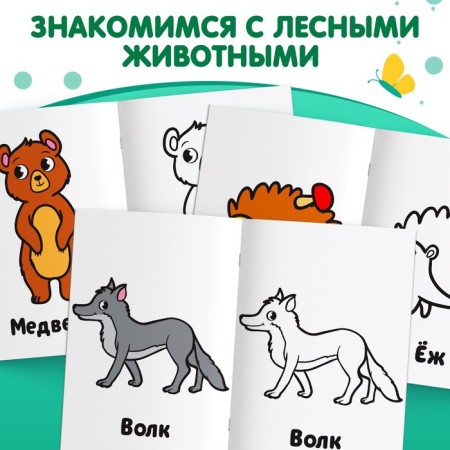 Coloring "Forest animals", 16 p.-2