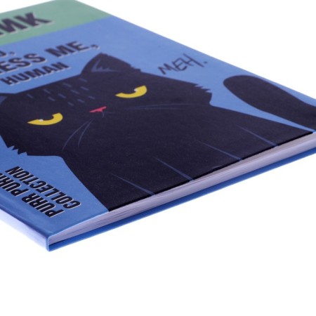 Universal diary for grade 1-11 Means me, integral cover, glossy lamination, 40 sheets-2