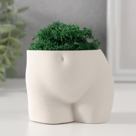Interior subject "innocent view" height 6.5 cm, width 8.5 cm white (moss green. Stabiliz)