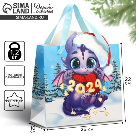Gift Package "Dragneis", 25 x 26.7 x 10 cm, New Year