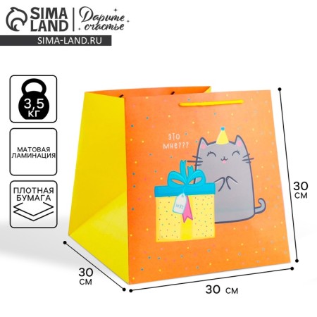 Square gift package, packaging, “cat and cake”, 30 x 30 x 30 cm-1