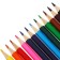 Pencils are colored, in a plastic tube, 12 colors, hexagonal housing, sharpened