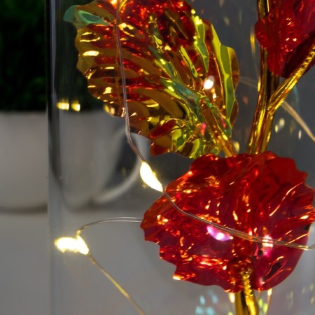 Nightlight "Red Flower" LED from batteries 3haaa 11x11x21.5 cm Risalux-3
