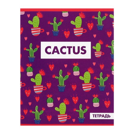 A set of notebooks of 5 pieces, 48 ​​sheets in the Calligrata cactus cage, covered cardboard, offset block-6