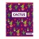 A set of notebooks of 5 pieces, 48 ​​sheets in the Calligrata cactus cage, covered cardboard, offset block