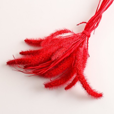 Set of dried flowers "Setaria", banch 7 pcs, length 60-65 (+/- 6 cm), red-2