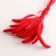 Set of dried flowers "Setaria", banch 7 pcs, length 60-65 (+/- 6 cm), red
