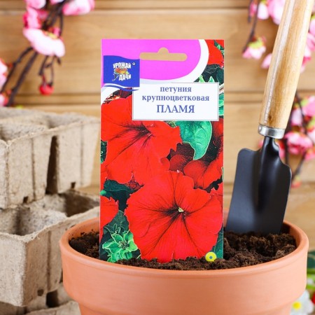 Flowers of Petunia Flower Large -flowered "Flame", 0.1 g