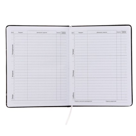Universal diary for grade 1-11 Shark Area, hard cover, artificial leather, foam rubber, lies, 80 g/m2-4