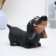 Piggy bank "Dachshund" black, 25x12x15cm